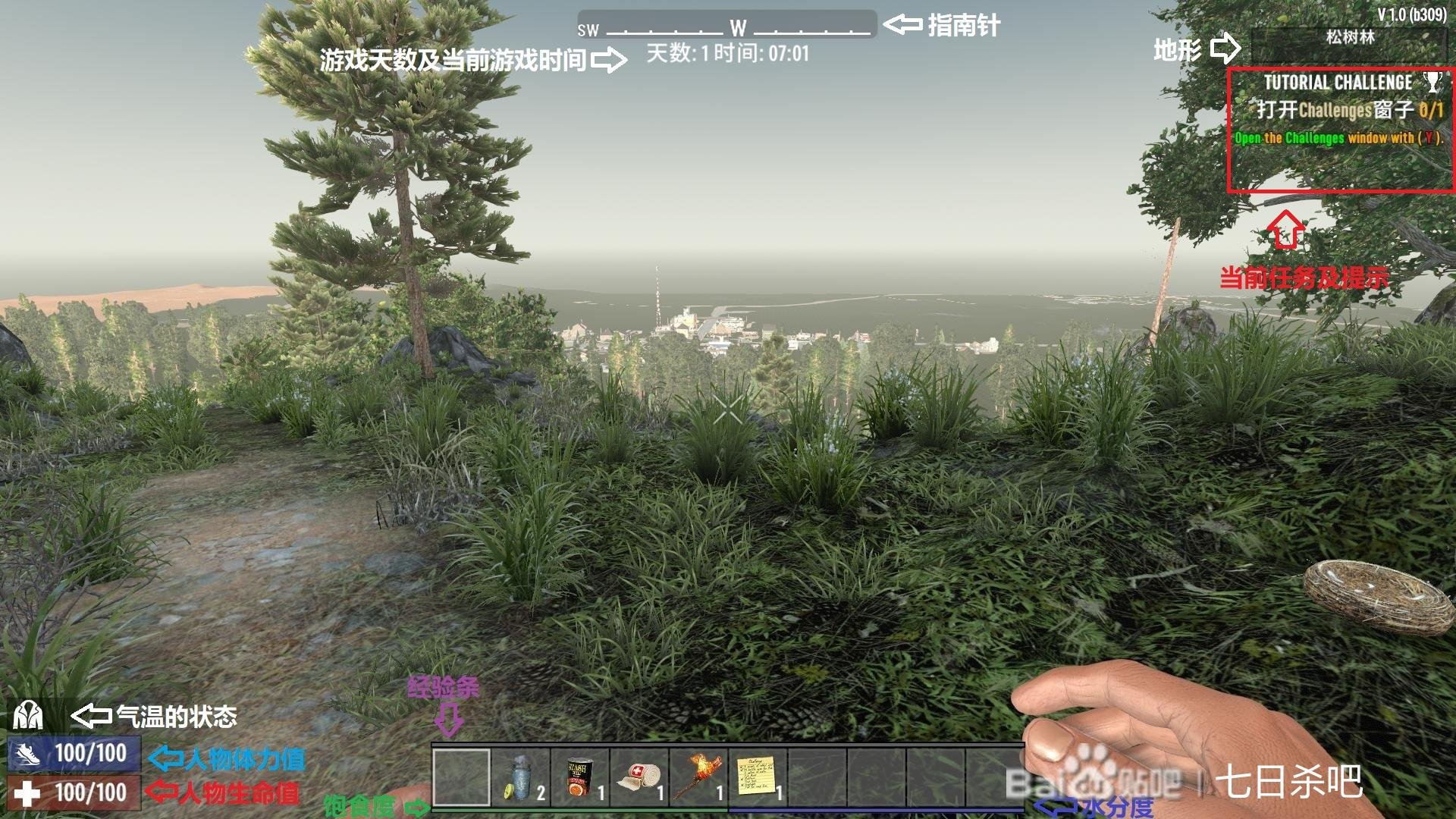 勇者斗恶龙11 截图8