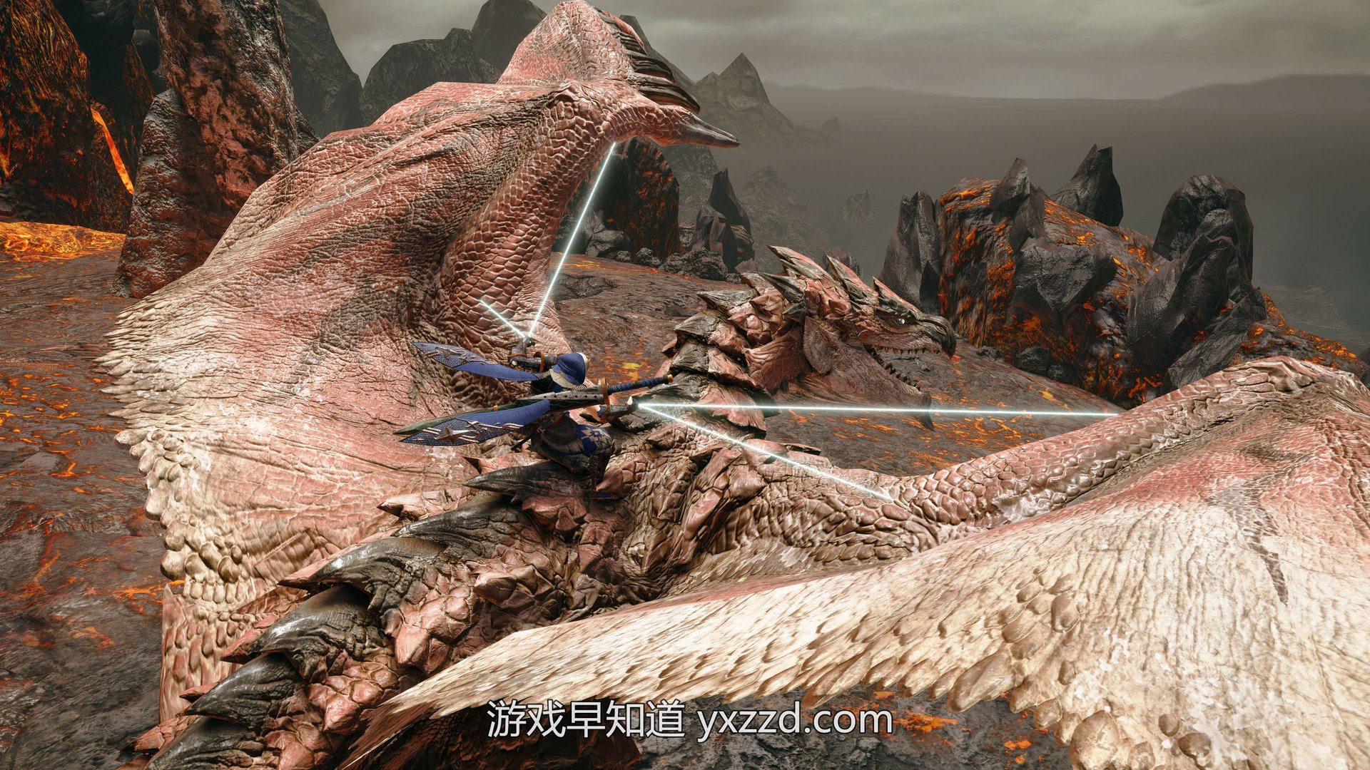 糖豆人：终极淘汰赛 豪华版 截图15